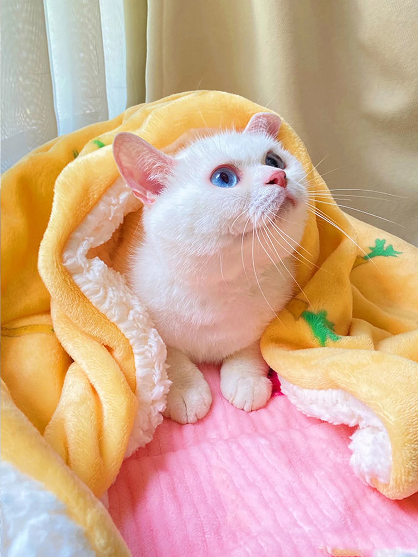 Pet winter soft blanket cat and dog cover quilt soft and comfortable flannel blanket pet mat