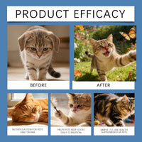 Taurine Powder for Cats Gentle Formula Supports Heart, Vision Overall Health Daily Care Supplement for Comfort and Well-Being