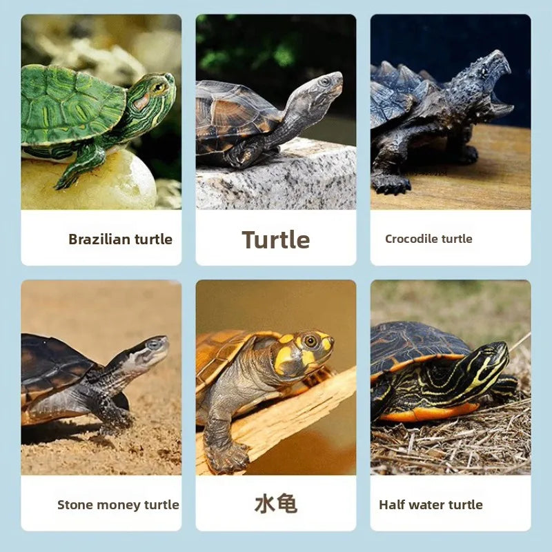 Nai chong Freeze-Dried Freshwater Fish Snacks - All-Natural Treats for Turtles, Cats, Dogs & Small Pets - Nutritional Supplement